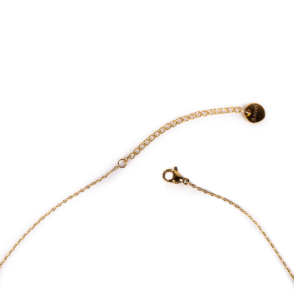 THIN CHOKER NECKLACE WITH LIGHT POINT AND HORNS