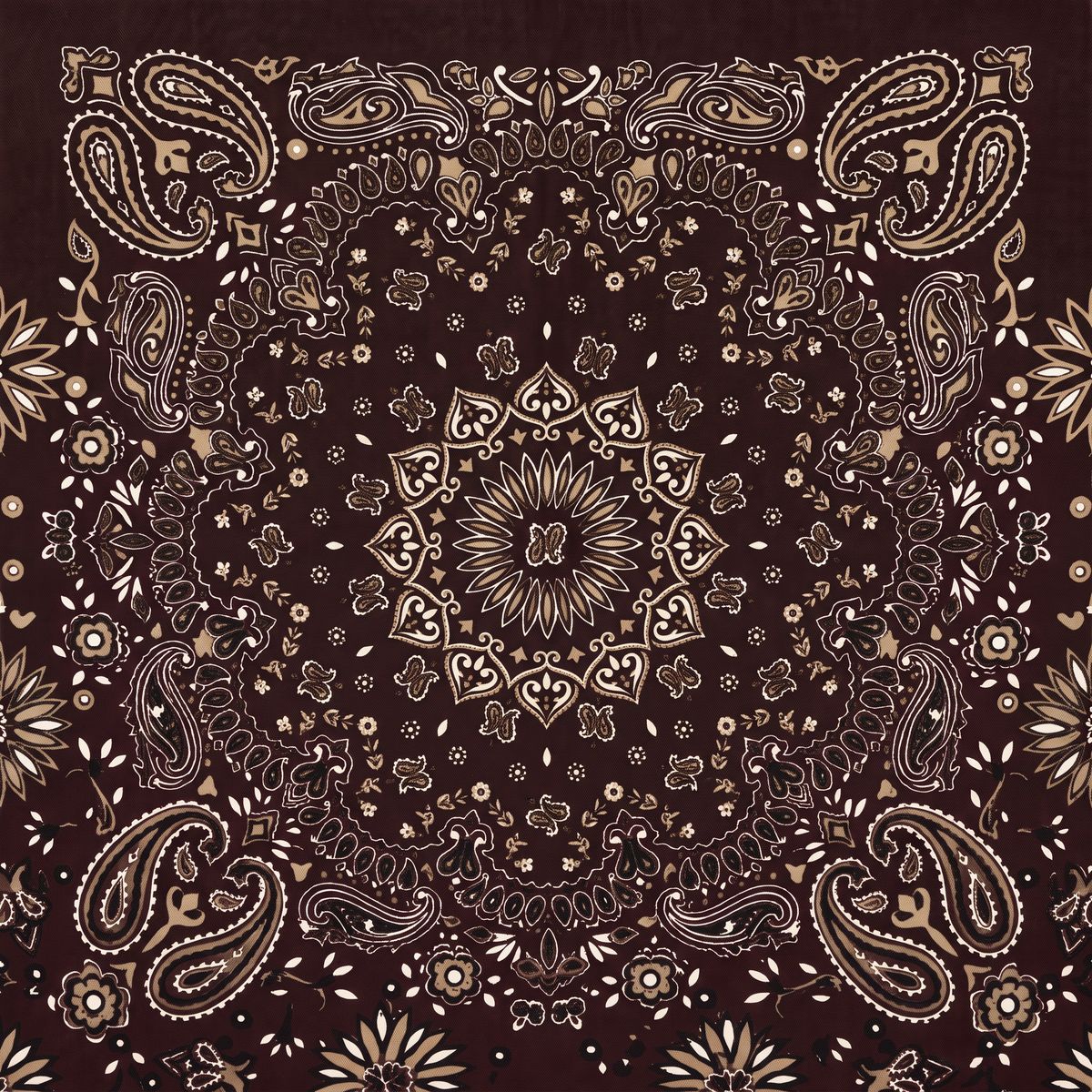 SCIARPA CON FANTASIA PAISLEY