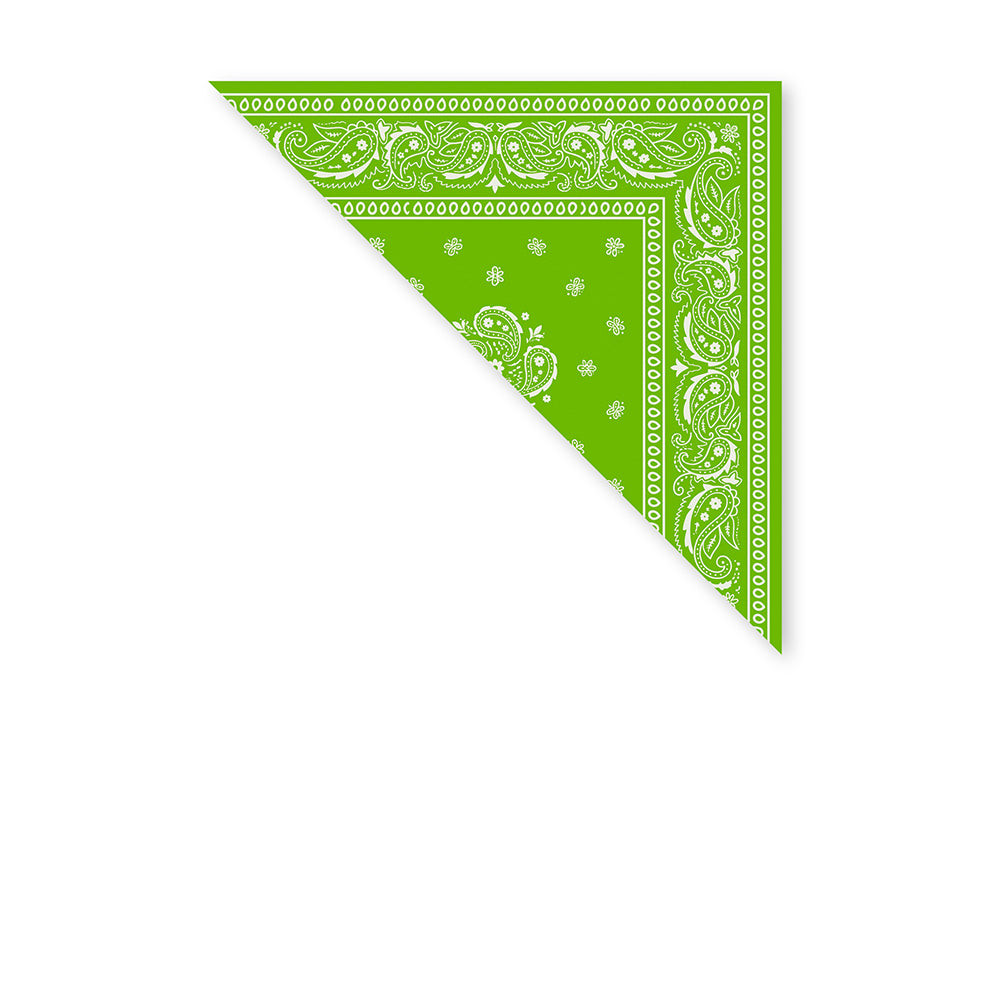 BANDANA QUADRATA MOTIVO PAISLEY