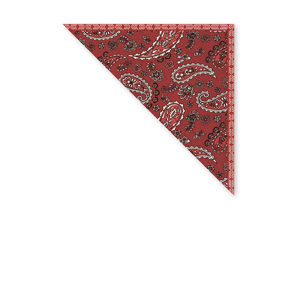 SCIARPA FOULARD DA COLLO CON FANTASIA CASHMERE
