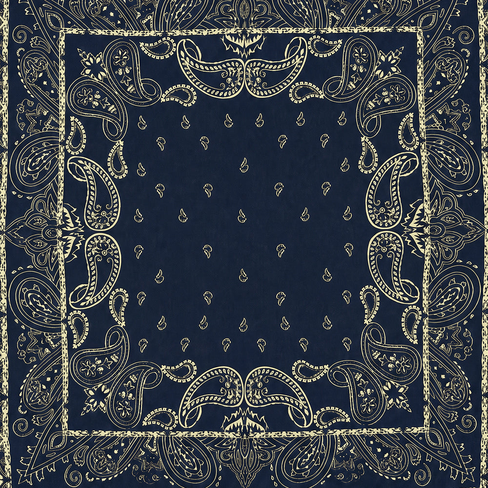 SCIARPA FOULARD DA COLLO CON FANTASIA PAISLEY