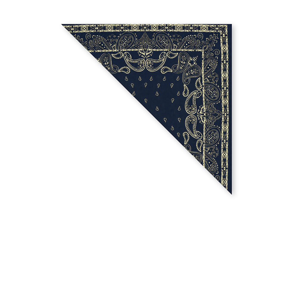 SCIARPA FOULARD DA COLLO CON FANTASIA PAISLEY