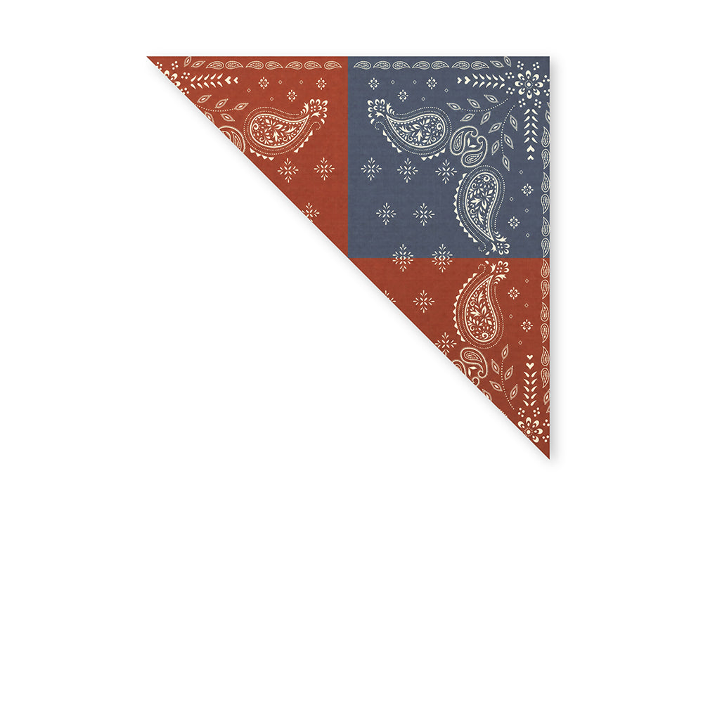 SCIARPA FOULARD DA COLLO CON FANTASIA PAISLEY DOPPIO COLORE