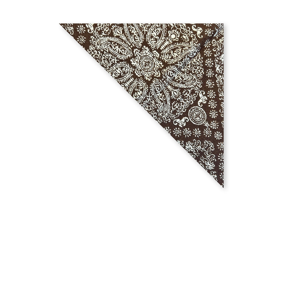 SCIARPA TRIANGOLARE CON FANTASIA PAISLEY