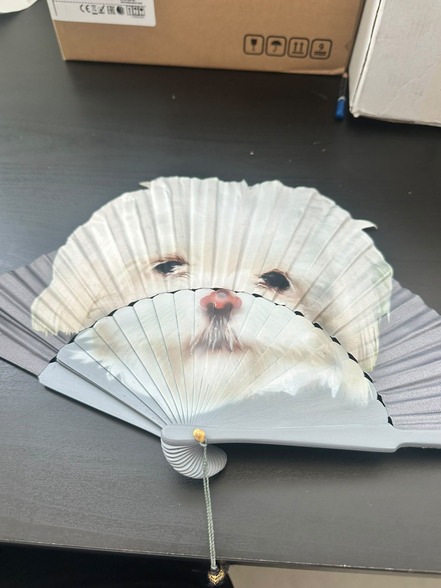 VENTAGLIO IN LEGNO CON SETA CON STAMPA DI CANI