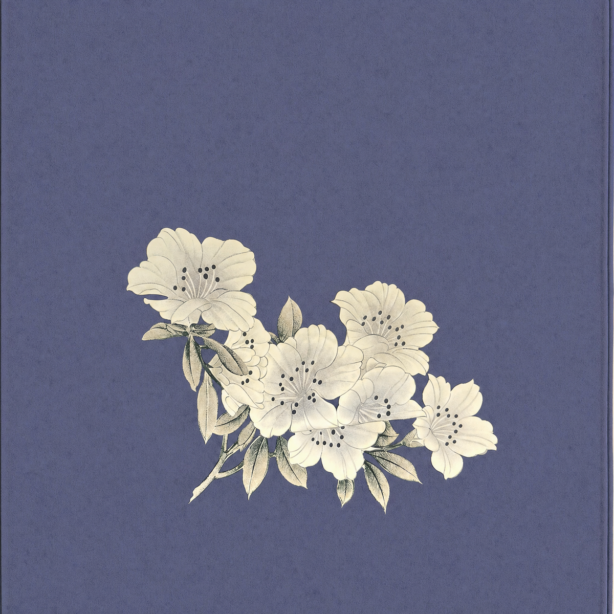 SCIARPA FOULARD IN SETA CON FIORI GRIGI SU SFONDO BLU
