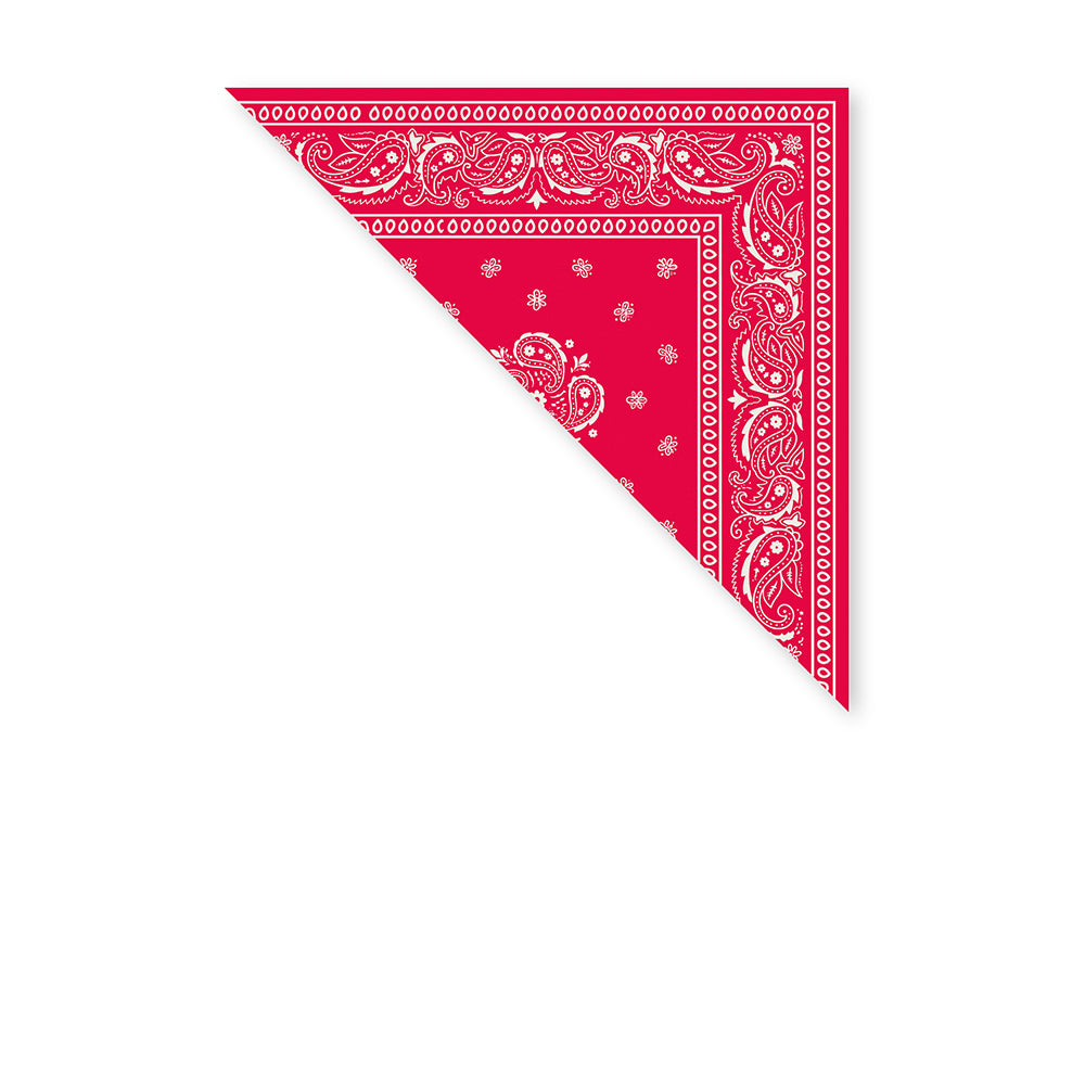 BANDANA QUADRATA MOTIVO PAISLEY