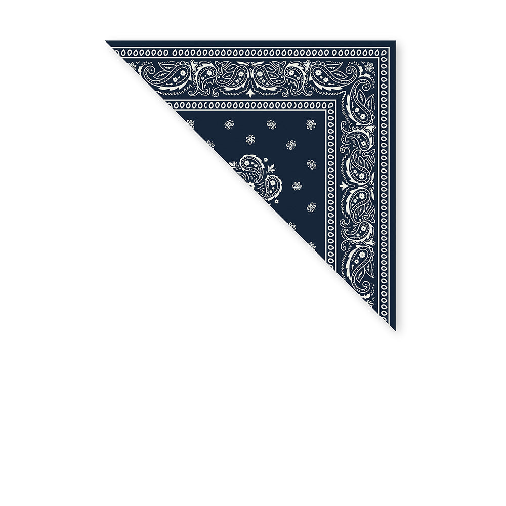 BANDANA QUADRATA MOTIVO PAISLEY