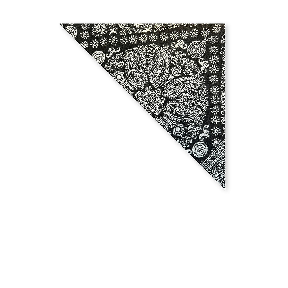 SCIARPA TRIANGOLARE CON FANTASIA PAISLEY