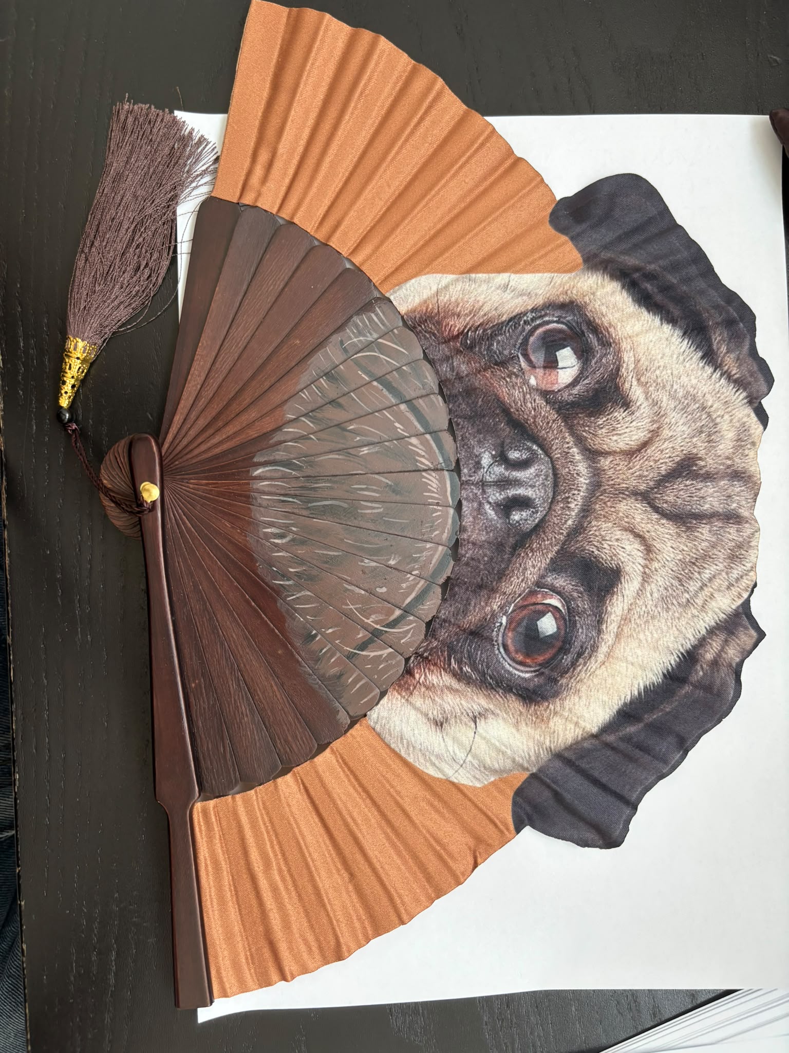 VENTAGLIO IN LEGNO CON SETA CON STAMPA DI CANI