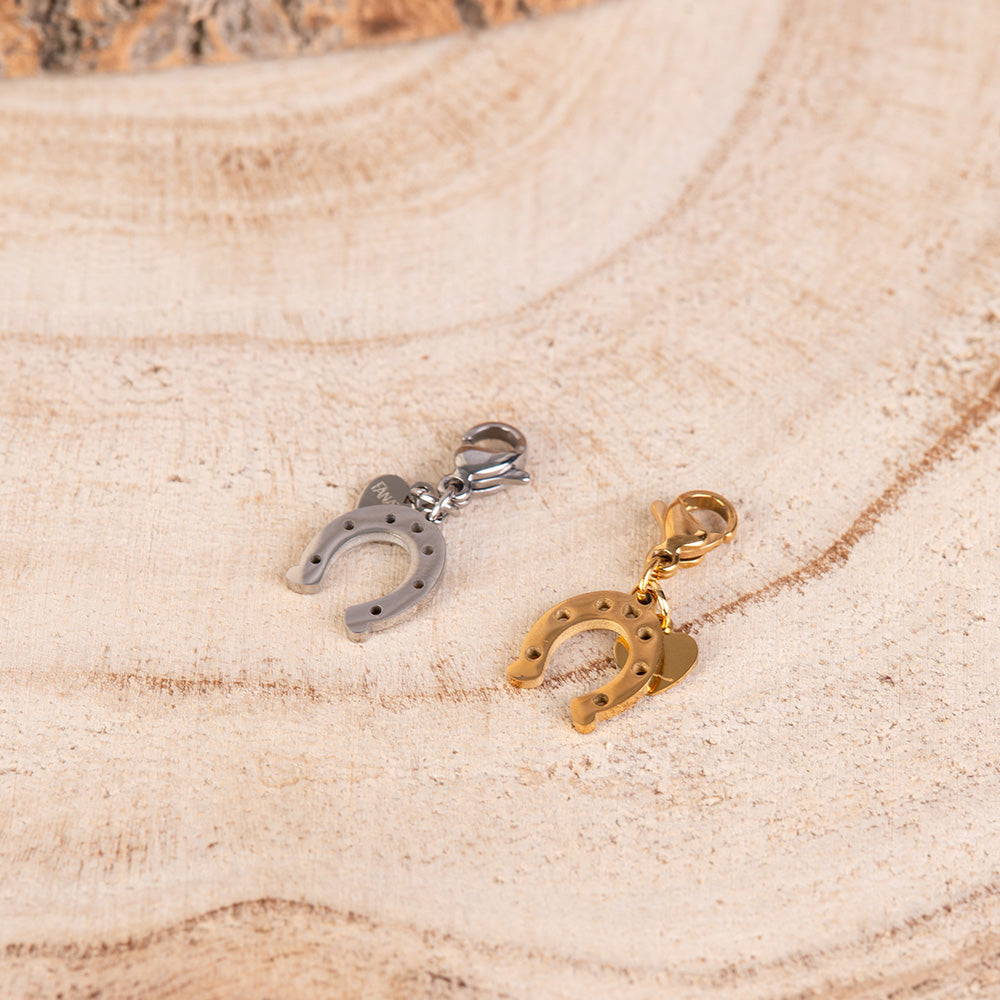 CHARM A FERRO DI CAVALLO